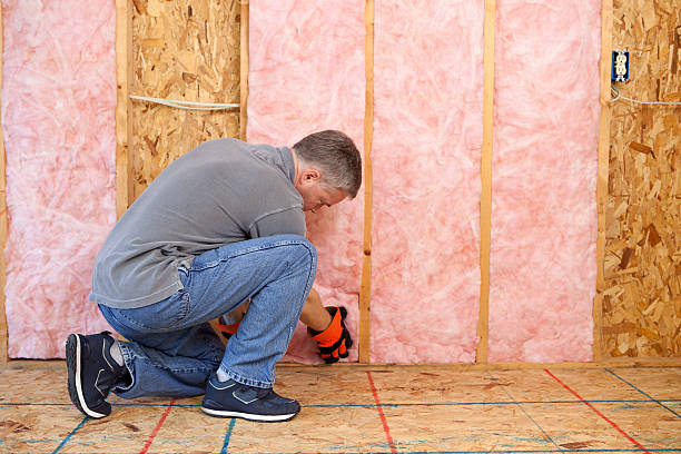 Best Basement Insulation  in Bay Hill, FL